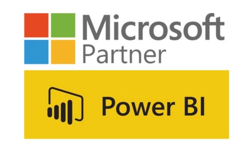 Power BI Consultant